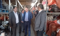 قزوین/ بازدید معاون اموال تملیکی از اداره کل و انبارهای استان