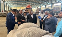 سرکشی مدیرعامل سازمان اموال تملیکی از انبار گناوه