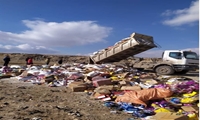  15 تن کالای فاسد در زنجان امحاء شد