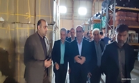 تاکید معاون دادستان کل کشور بر تسریع در تعیین تکلیف کالاهای سریع الفساد