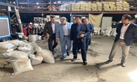 خراسان رضوی/ بازدید معاون حقوقی و فروش اموال غیر منقول از انبارهای استان