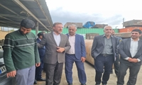 همدان/ بازدید اعضای هیئت عالی نظارت اموال تملیکی از انبارهای استان