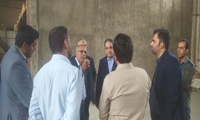 تهران/ بازدید مدیرعامل  اموال تملیکی از انبار گمرک جنوب 