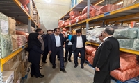 بازدید مدیرعامل اموال تملیکی از انبارهای استان هرمزگان
