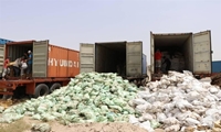 355 تن کالای فاسد و آلوده در بندرعباس منهدم شد