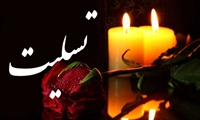 پیام تسلیت وزیر دادگستری به مدیرعامل سازمان جمع‌آوری و فروش اموال تملیکی