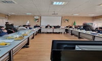 آذربایجان شرقی/ راهکارهای تسریع در تعیین تکلیف کالاهای رسوبی و متروکه بررسی شد