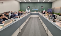 تقدیر معاون وزیر کشور از اقدامات اموال تملیکی 