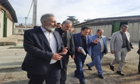 البرز/ رشد ۳۱۱ درصدی تعیین تکلیف اموال منقول استان 