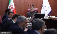 نخستین جلسه كارگروه سازمان های تابعه شورای اطلاع رسانی وزارت اقتصاد برگزار شد