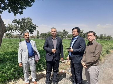 بررسی میدانی ظرفیت‌های مولدسازی زمین دانشگاه علامه طباطبایی در کرج